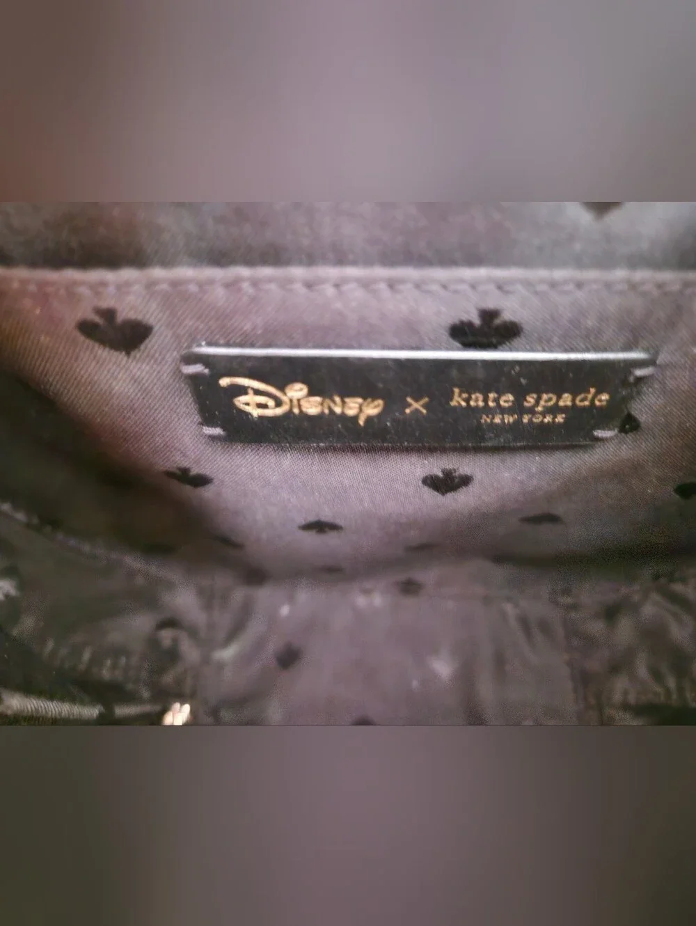 Kate Spade x Disney Minnie Mouse Canteen Crossbody Bag